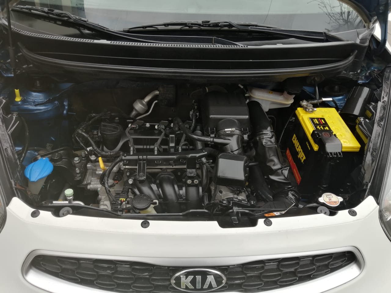 Kia Picanto 2016